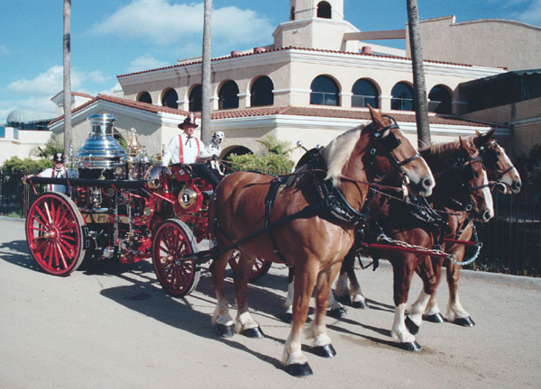 CSFA Steamer