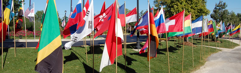 WM Country Flags 2007